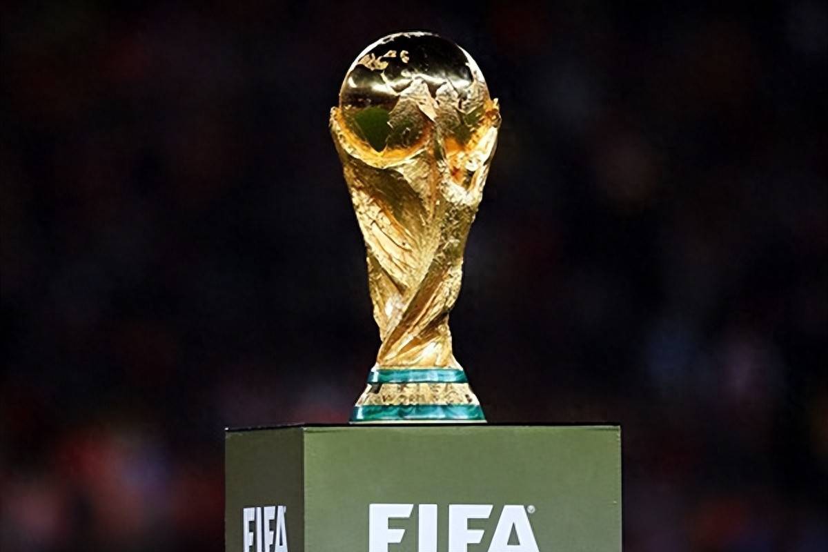 脑内会放大 脑内会放大